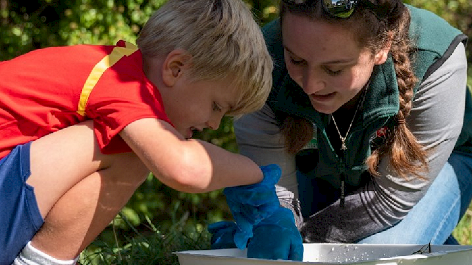 May Half Term Workshops: Pond Dipping Image
