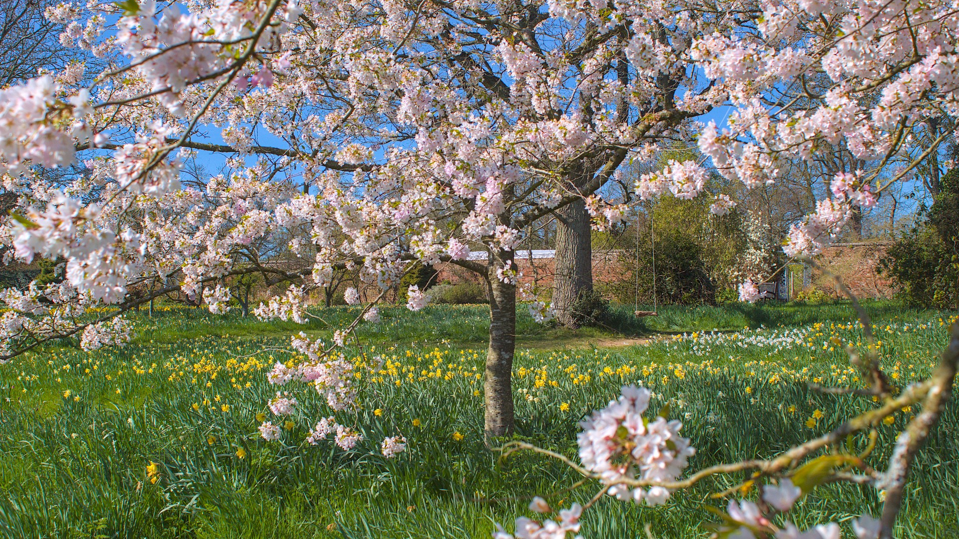 Spring Photography Competition Image