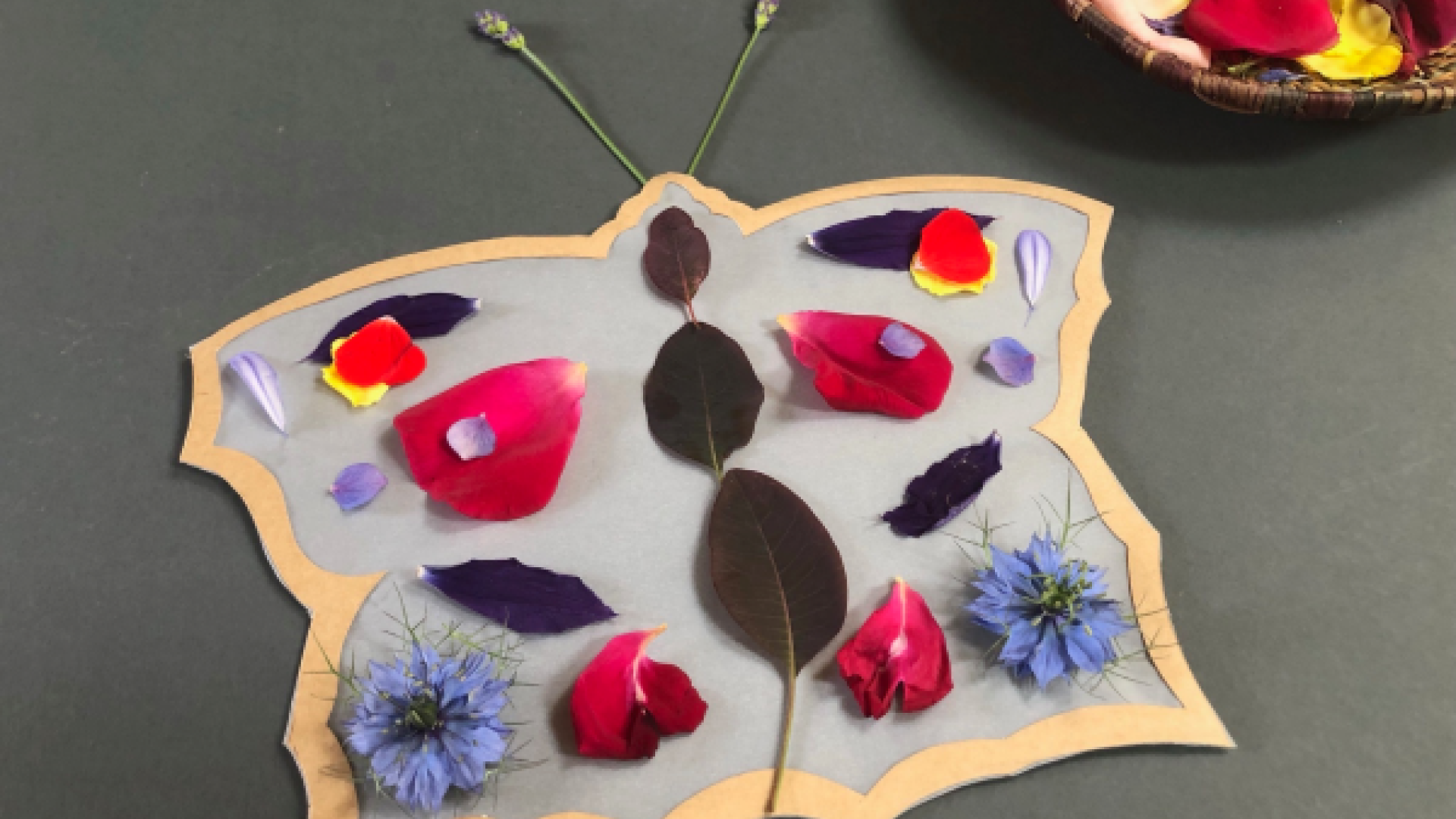 May Half Term Art Workshops: Winged Wonders Image