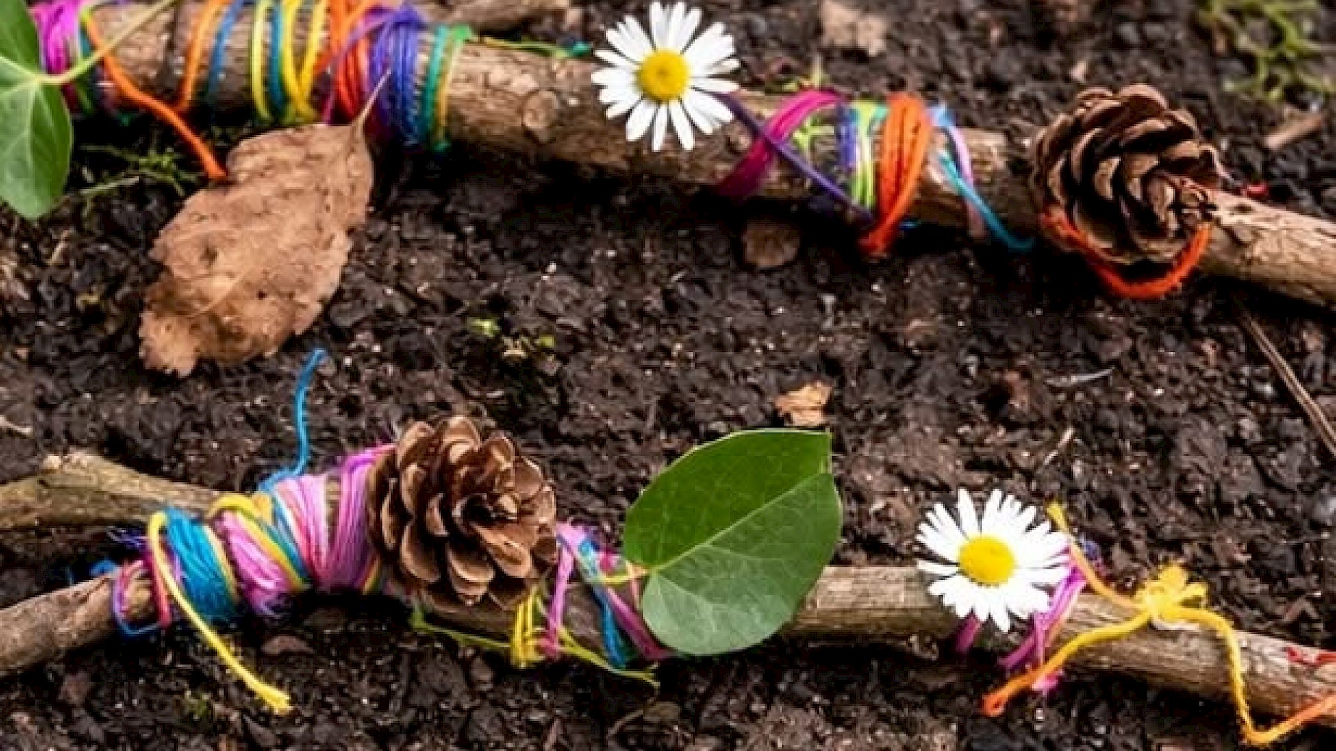 Family Workshop: Wander & Wonder Image